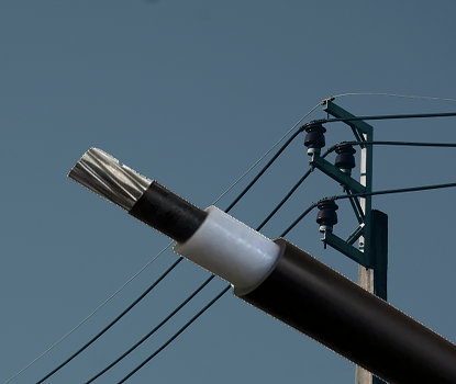 product-card (4)_415x350